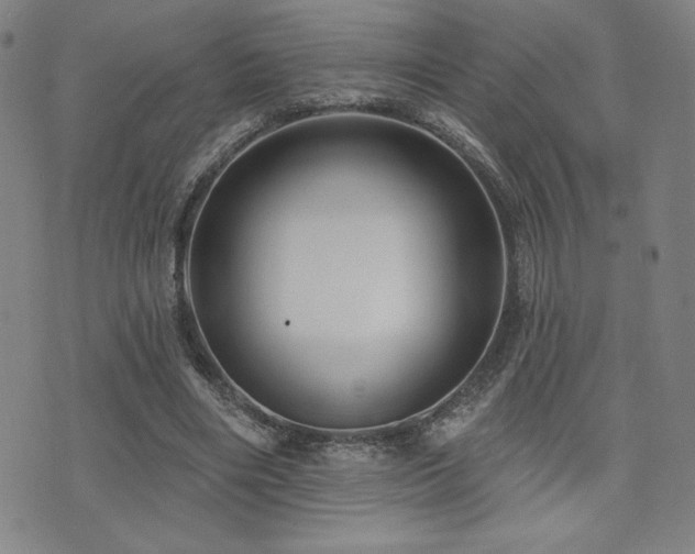 X0000072940490200607211105