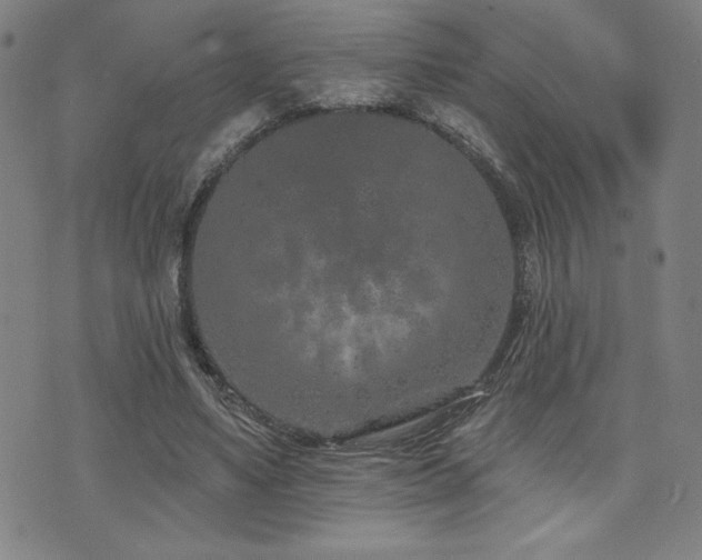 X0000072940491200607211105