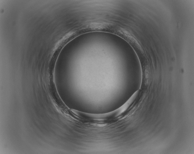 X0000072940492200607211105