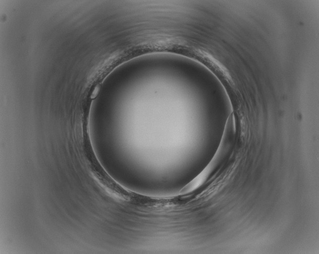 X0000072940493200607211105