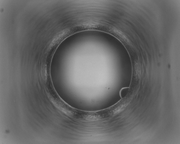 X0000072940494200607211105