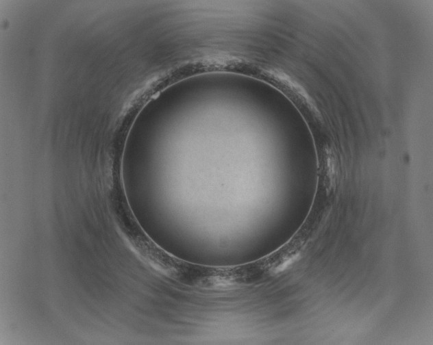 X0000072940496200607211105