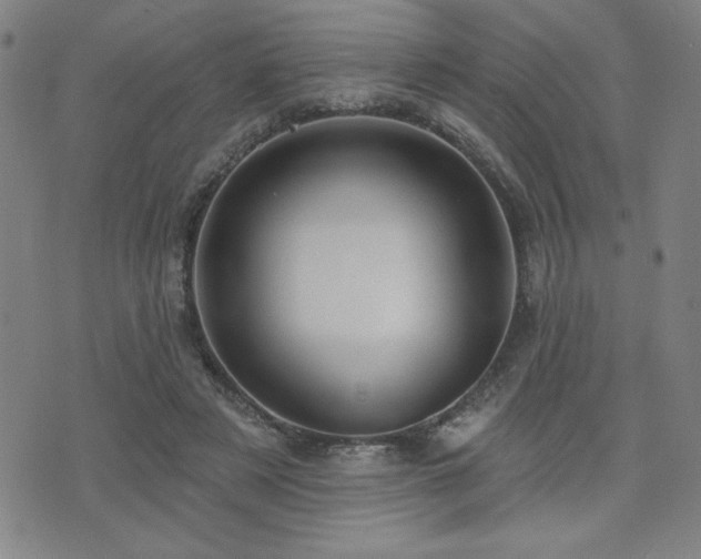 X0000072940497200607211105