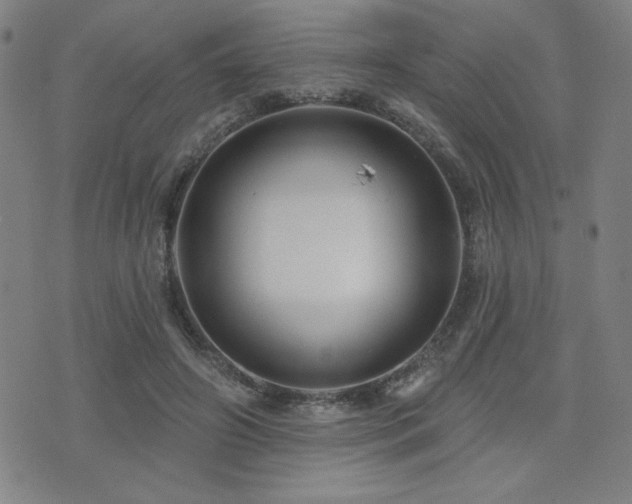 X0000072940498200607211105