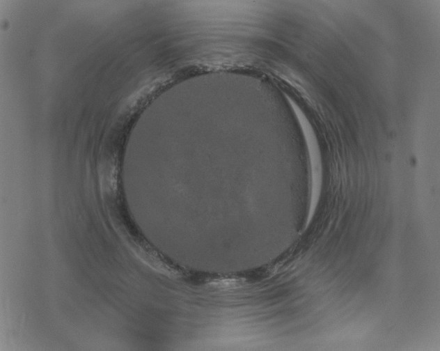 X0000072940499200607211105