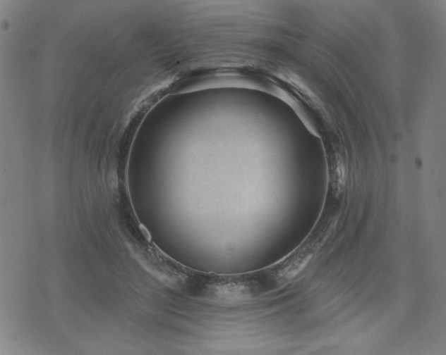 X0000072940500200607211105