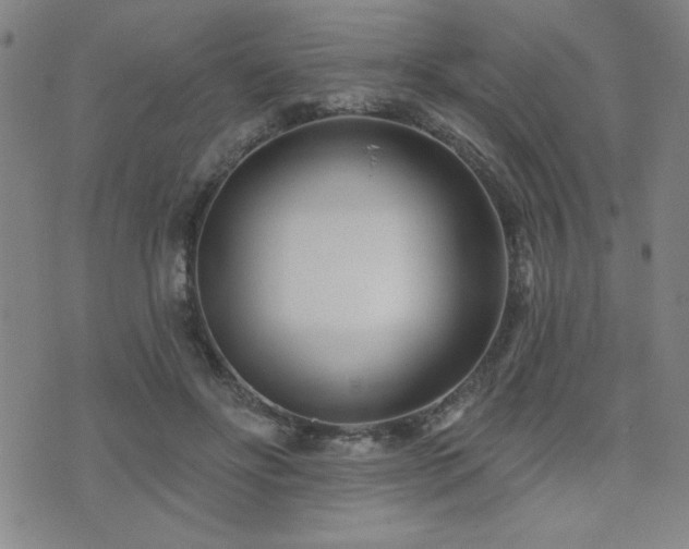 X0000072940502200607211105