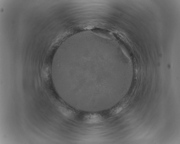 X0000072940503200607211105