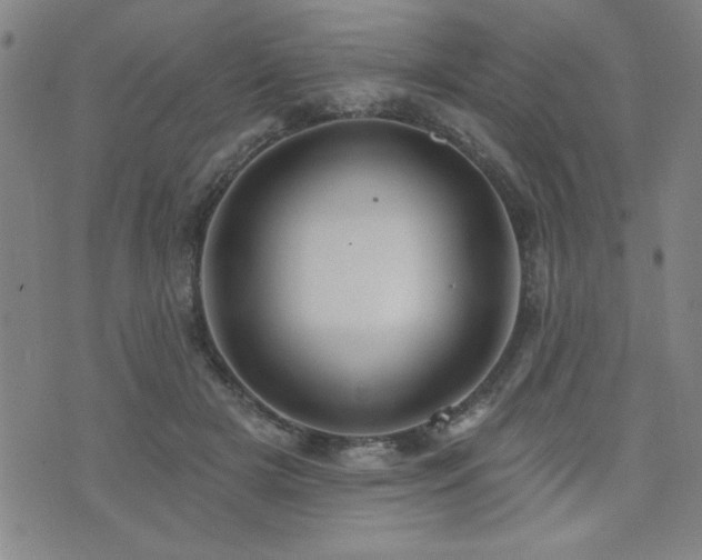 X0000072940505200607211105