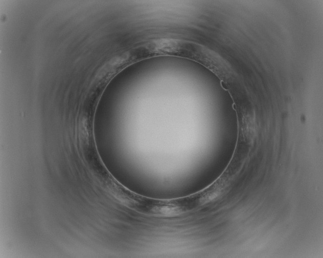 X0000072940506200607211105