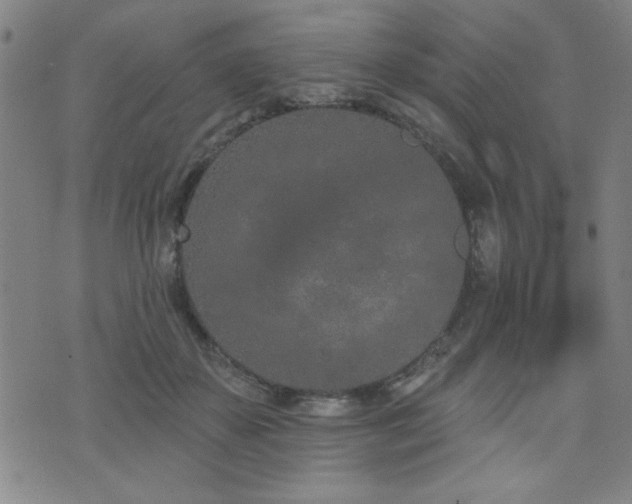 X0000072940507200607211105