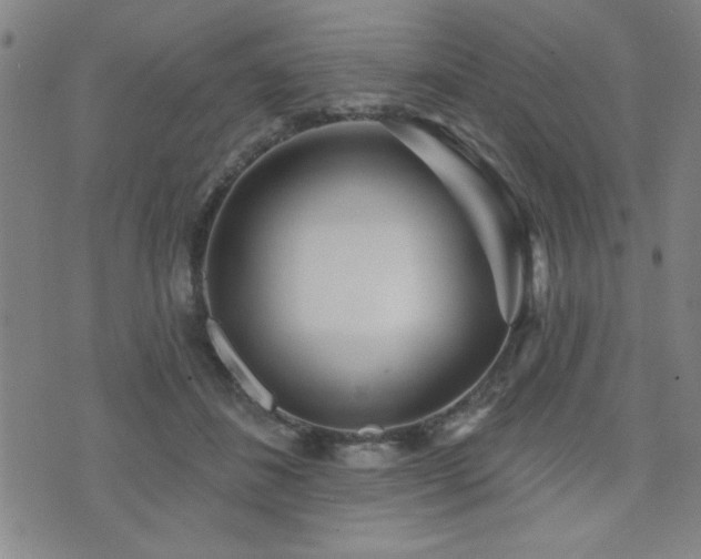 X0000072940508200607211105