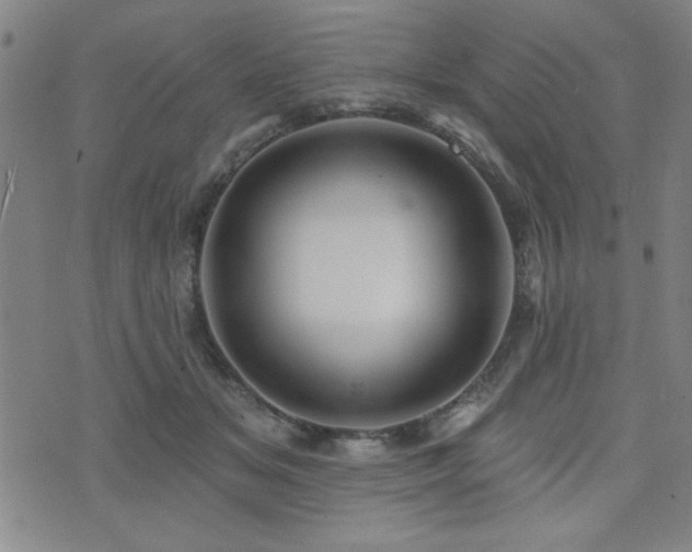 X0000072940509200607211105