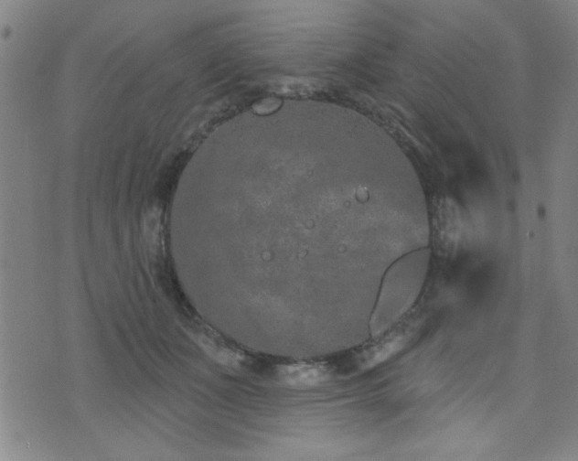 X0000072940511200607211105