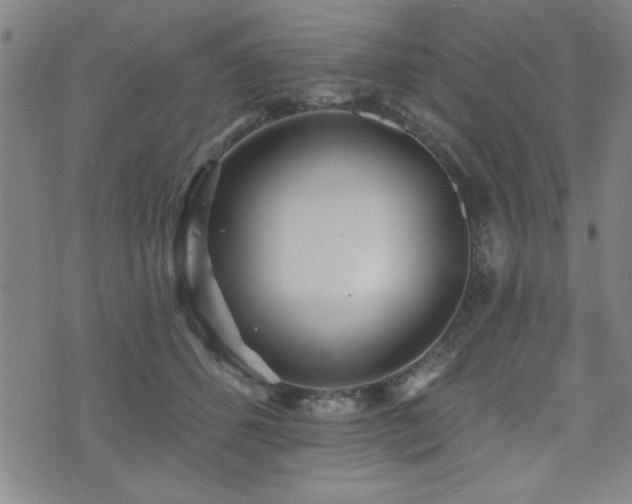 X0000072940512200607211105