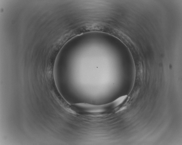 X0000072940513200607211105