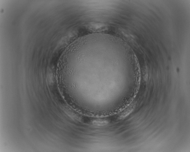 X0000072940515200607211105