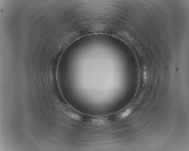 X0000072940516200607211105