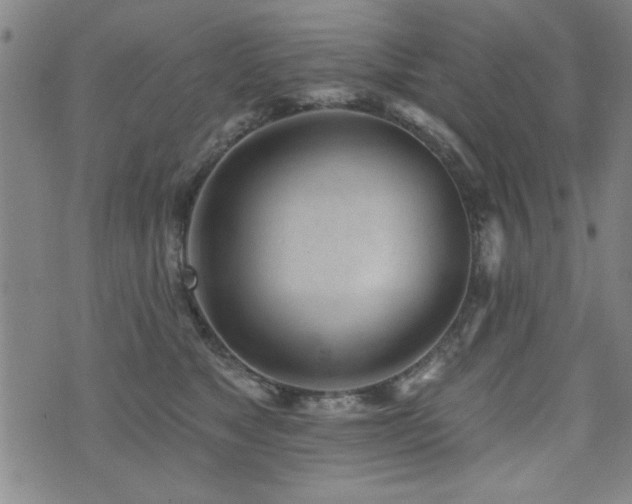 X0000072940517200607211105