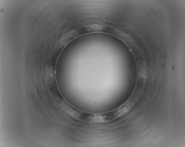 X0000072940518200607211105