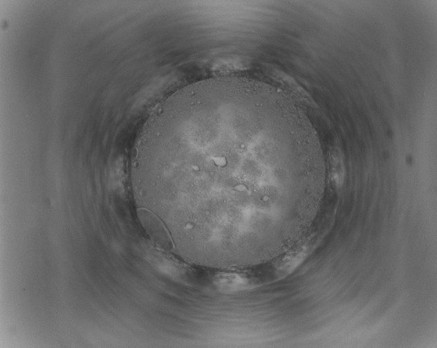 X0000072940519200607211105