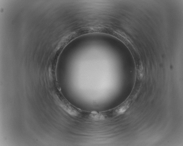 X0000072940520200607211105