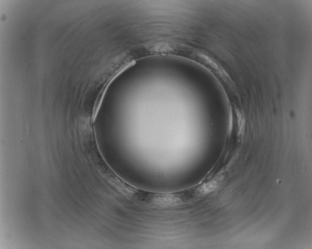 X0000072940521200607211105