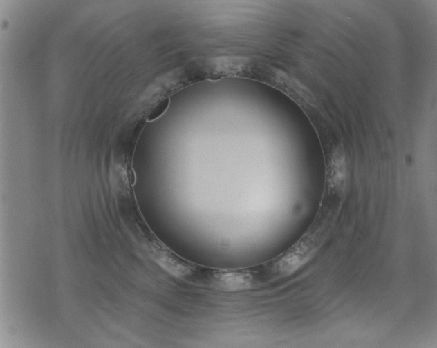 X0000072940522200607211105