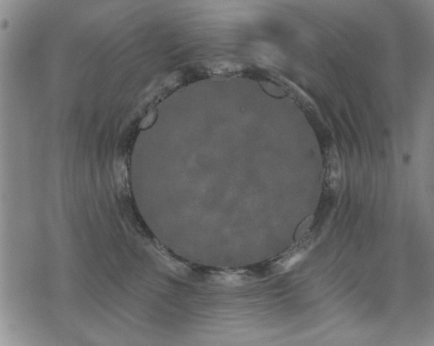 X0000072940523200607211105