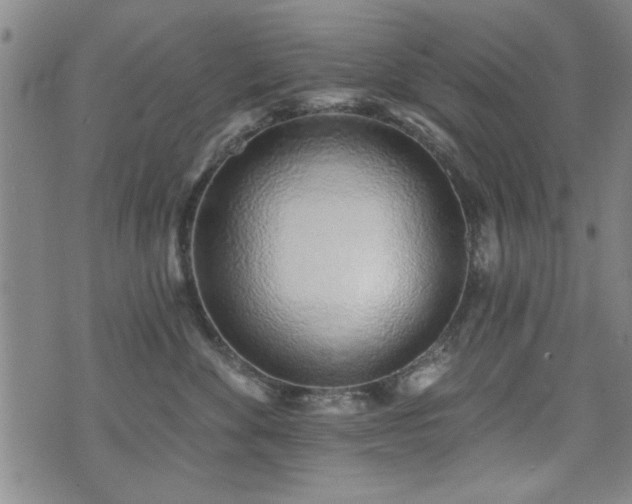 X0000072940524200607211105