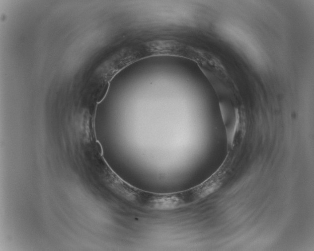 X0000072940525200607211105