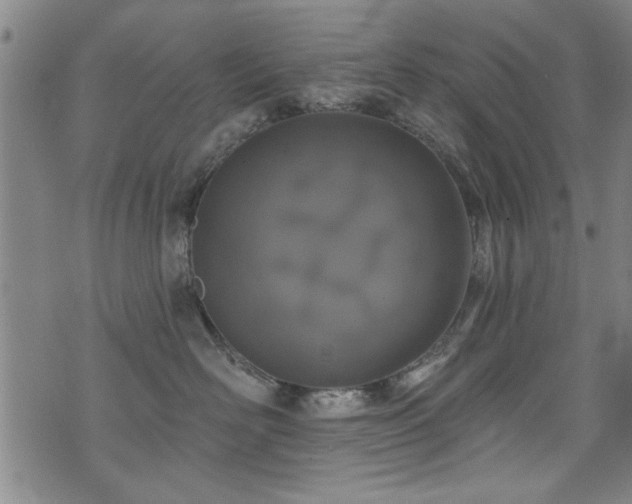 X0000072940526200607211105