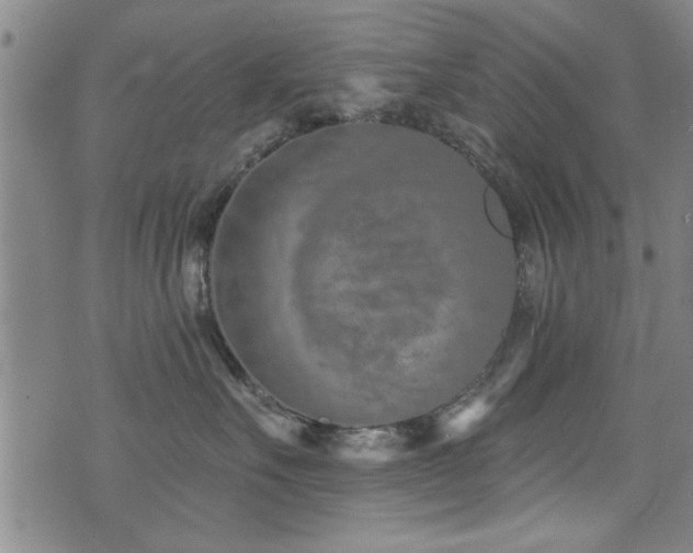 X0000072940527200607211105