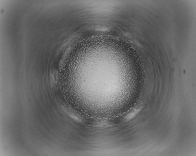 X0000072940528200607211105