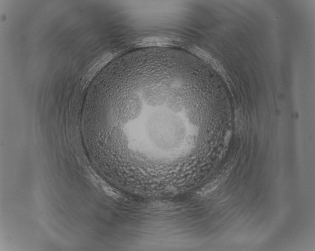 X0000072940529200607211104