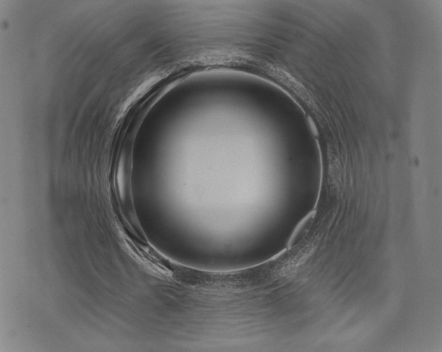 X0000072940530200607211104