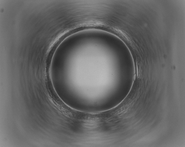 X0000072940531200607211104