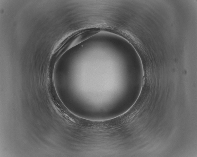 X0000072940532200607211104