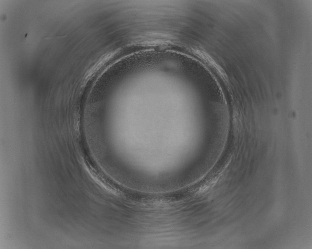 X0000072940533200607211104