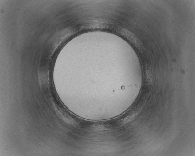 X0000072940534200607211104