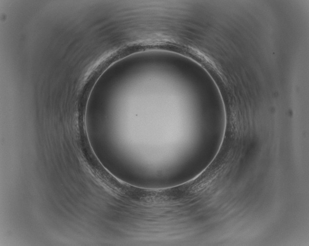 X0000072940535200607211104