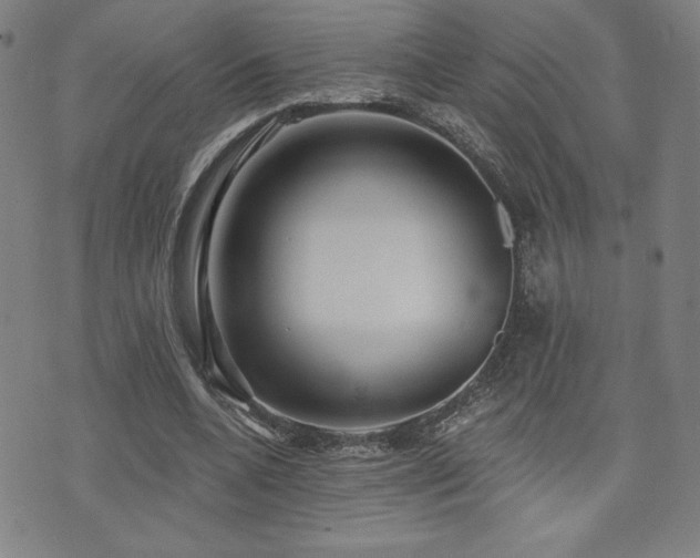 X0000072940536200607211104