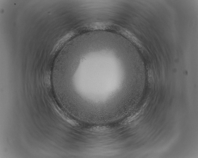 X0000072940537200607211104