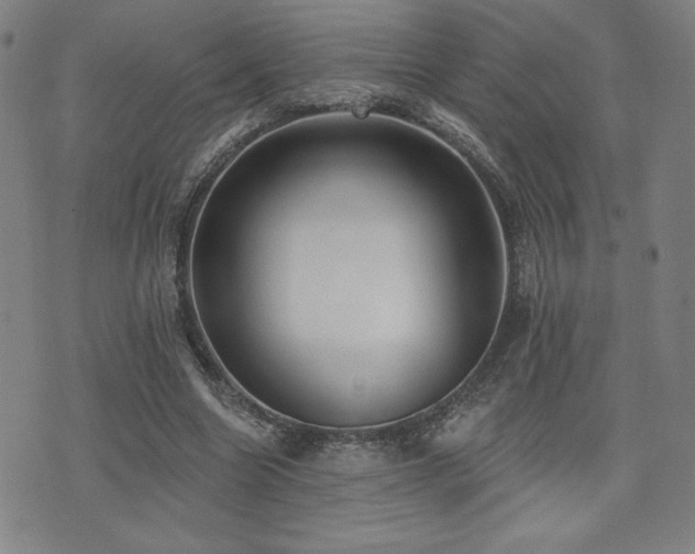 X0000072940538200607211104