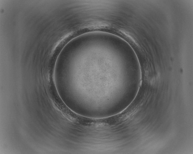 X0000072940539200607211104