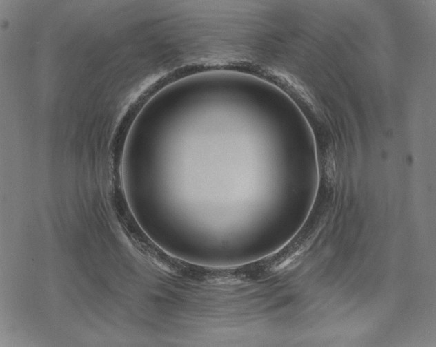 X0000072940540200607211104