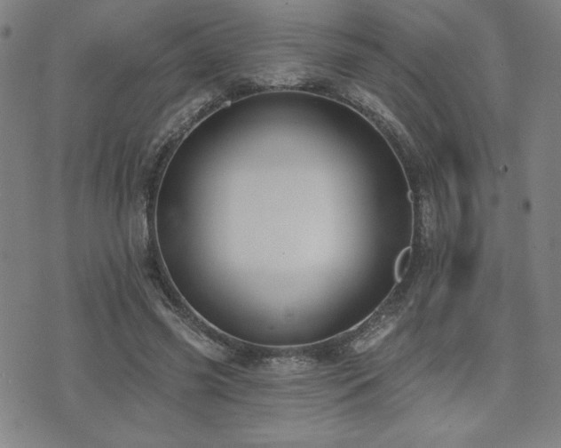 X0000072940541200607211104