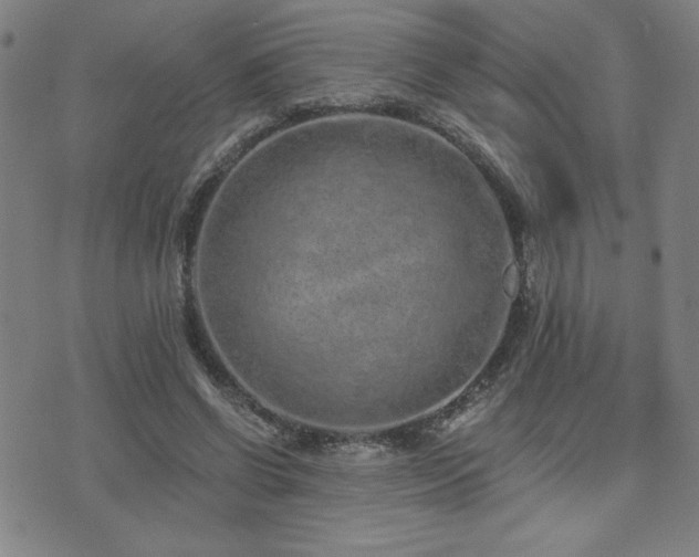 X0000072940542200607211104