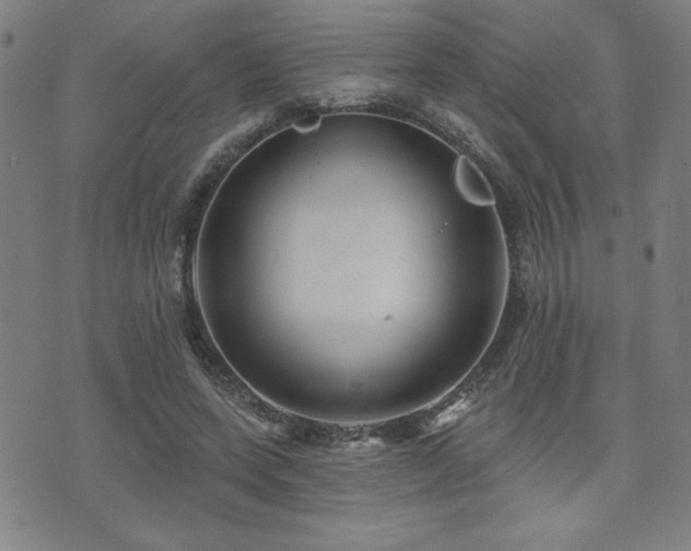 X0000072940543200607211104