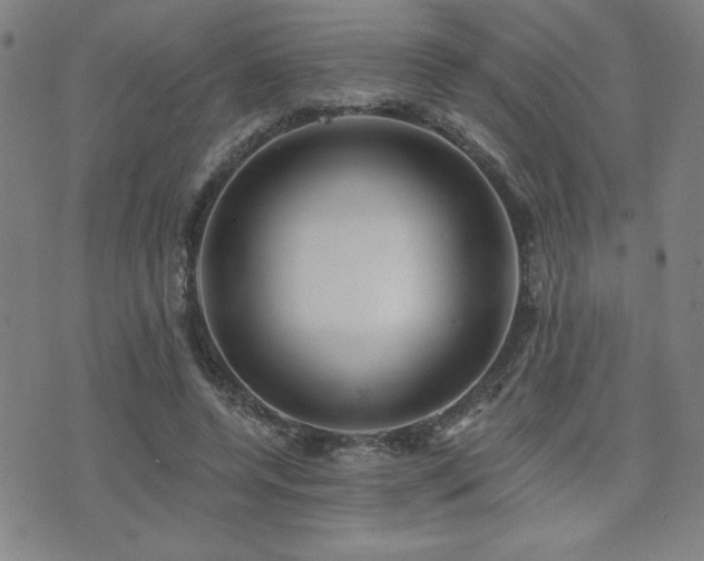 X0000072940544200607211104